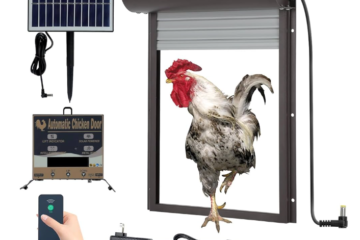 Solar powered chicken coop door